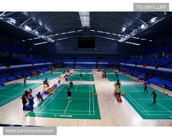 武汉羽毛球队在联合会杯中的蜕变与未来发展之路探索